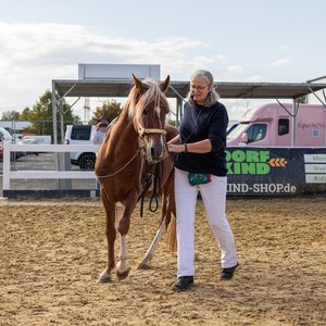 Reitsportmesse Gießen 2024, Messeimpression