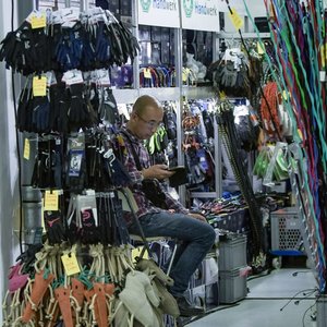 Reitsportmesse Gießen 2022, Messeimpression