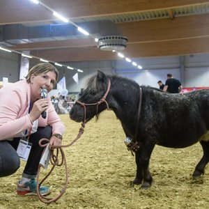 Reitsportmesse Gießen 2022, Messeimpression