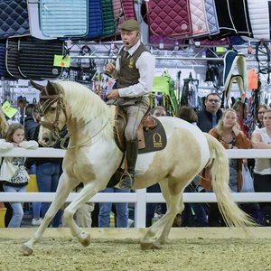 Reitsportmesse Gießen 2022, Messeimpression