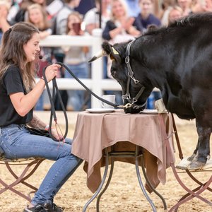 Reitsportmesse Gießen 2022, Messeimpression