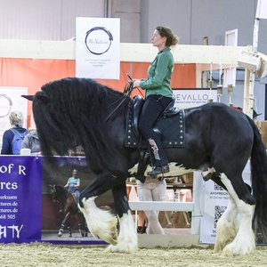 Reitsportmesse Gießen 2022, Messeimpression