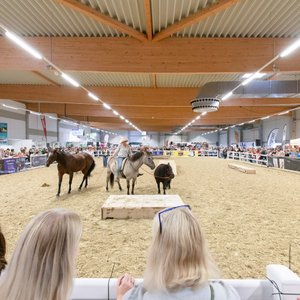 Reitsportmesse Gießen 2022, Messeimpression