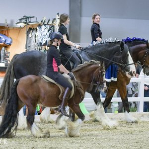 Reitsportmesse Gießen 2022, Messeimpression