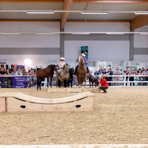 Reitsportmesse Gießen 2022, Messeimpression