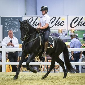 Reitsportmesse Gießen 2022, Messeimpression