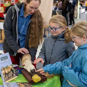Reitsportmesse Gießen 2023, Messeimpression