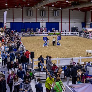Reitsportmesse Gießen 2024, Messeimpression