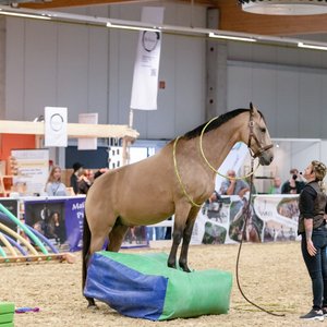 Reitsportmesse Gießen 2022, Messeimpression