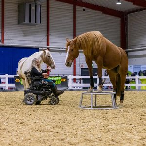 Reitsportmesse Gießen 2024, Messeimpression