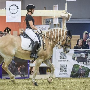 Reitsportmesse Gießen 2022, Messeimpression