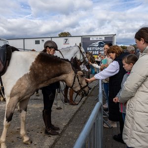 Reitsportmesse Gießen 2024, Messeimpression