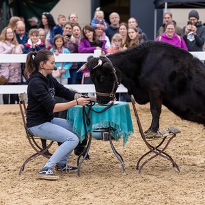 Reitsportmesse Gießen 2023, Messeimpression