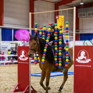 Reitsportmesse Gießen 2023, Messeimpression