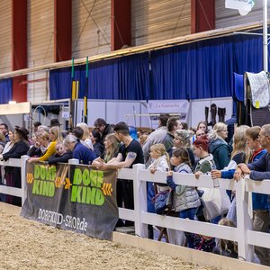 Reitsportmesse Gießen 2023, Messeimpression