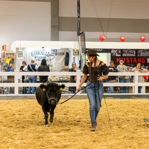 Reitsportmesse Gießen 2024, Messeimpression