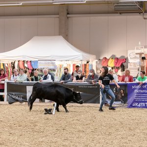 Reitsportmesse Gießen 2022, Messeimpression