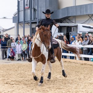 Reitsportmesse Gießen 2023, Messeimpression