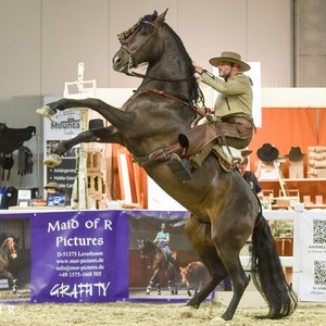 Reitsportmesse Gießen 2022, Messeimpression