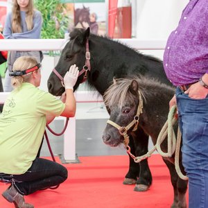 Reitsportmesse Gießen 2022, Messeimpression
