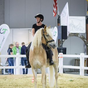 Reitsportmesse Gießen 2022, Messeimpression