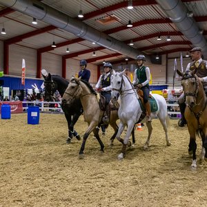 Reitsportmesse Gießen 2024, Messeimpression