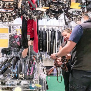 Reitsportmesse Gießen 2022, Messeimpression