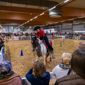 Reitsportmesse Gießen 2024, Messeimpression