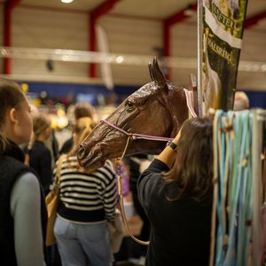 Reitsportmesse 2025, Messeimpression