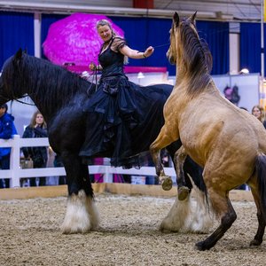 Reitsportmesse Gießen 2023, Messeimpression