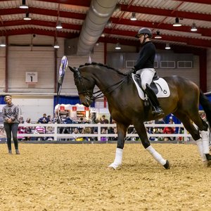 Reitsportmesse Gießen 2024, Messeimpression
