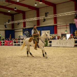 Reitsportmesse 2025, Messeimpression