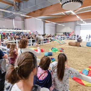 Reitsportmesse Gießen 2022, Messeimpression