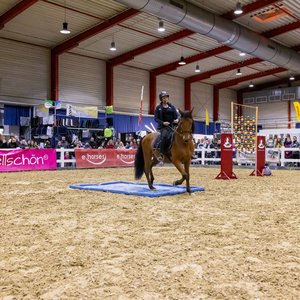 Reitsportmesse Gießen 2024, Messeimpression
