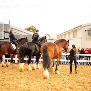 Reitsportmesse 2025, Messeimpression