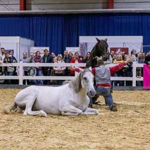 Reitsportmesse Gießen 2024, Messeimpression