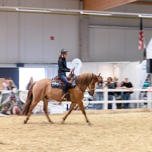 Reitsportmesse Gießen 2022, Messeimpression