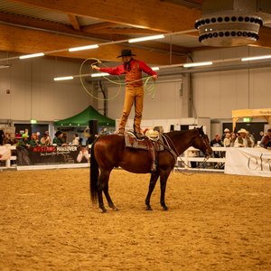 Reitsportmesse 2025, Messeimpression