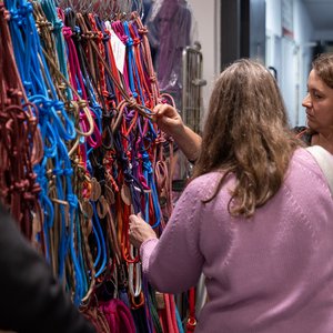 Reitsportmesse Gießen 2023, Messeimpression