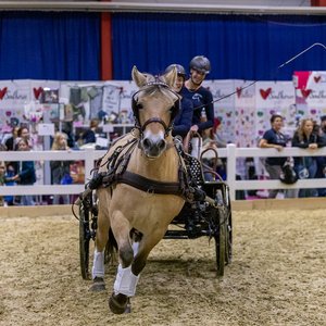 Reitsportmesse Gießen 2023, Messeimpression
