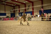 Showprogramm auf der REITSPORTMESSE Gießen
