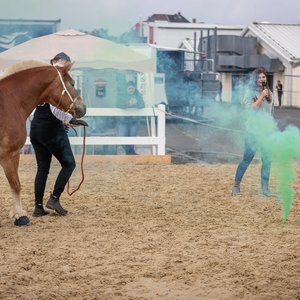 Reitsportmesse Gießen 2023, Messeimpression