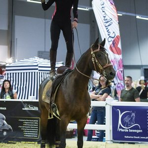 Reitsportmesse Gießen 2022, Messeimpression