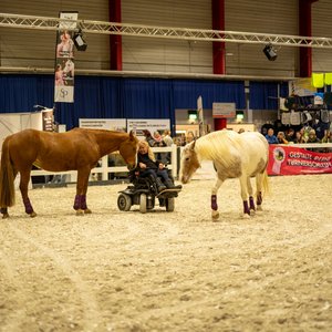 Reitsportmesse 2025, Messeimpression