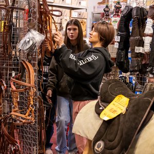 Reitsportmesse Gießen 2024, Messeimpression