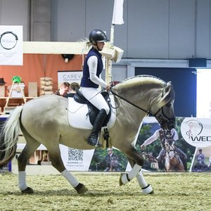 Reitsportmesse Gießen 2022, Messeimpression