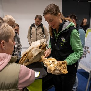 Reitsportmesse Gießen 2023, Messeimpression