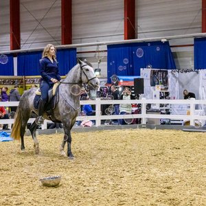 Reitsportmesse Gießen 2024, Messeimpression