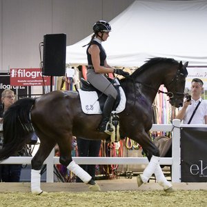 Reitsportmesse Gießen 2022, Messeimpression