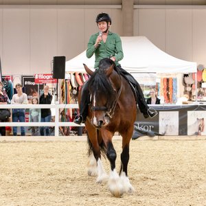 Reitsportmesse Gießen 2022, Messeimpression